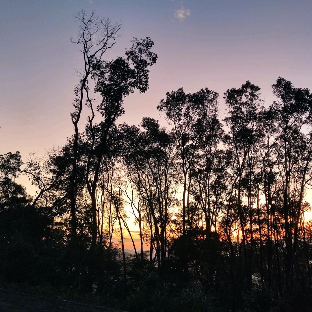 淮山大王👑👑