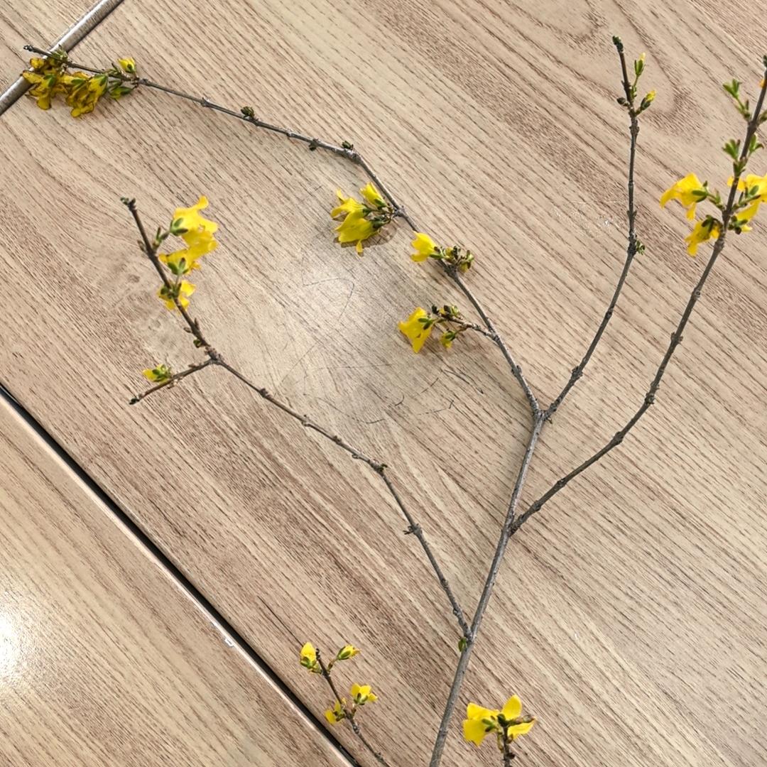 鱼、Yojump、ljump