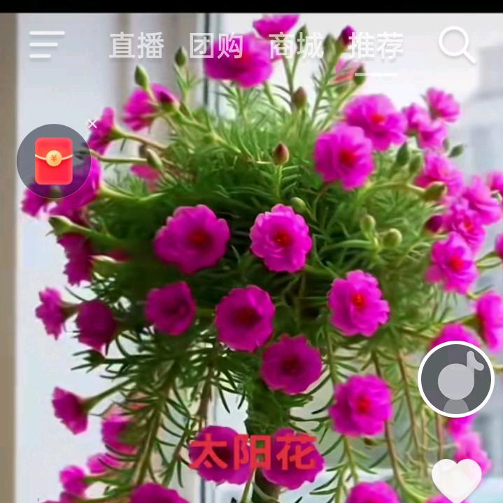 健康快乐，生活美哒