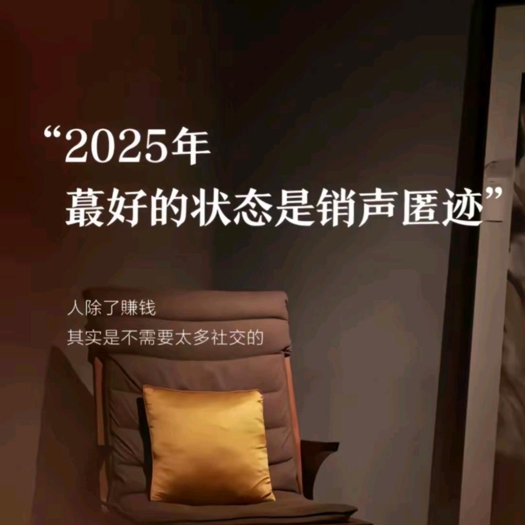 会飞的狼/