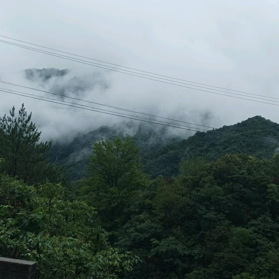 海洋之心