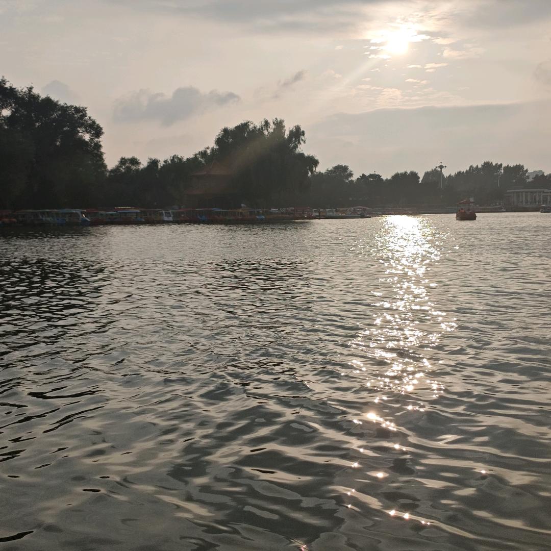王姚明明