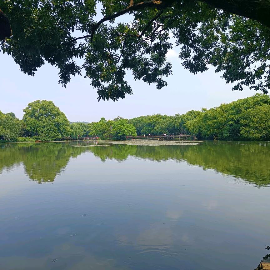 王杰