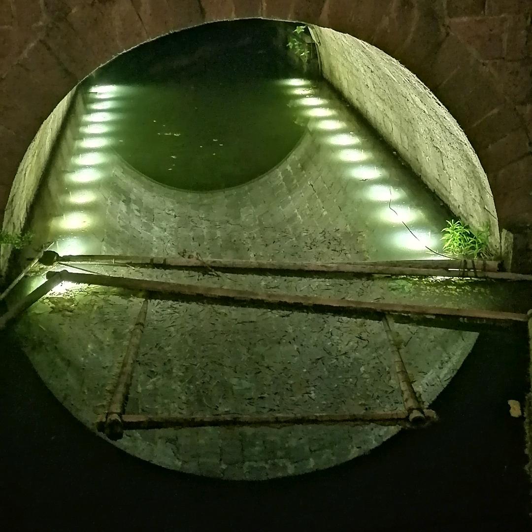 路遥知马李