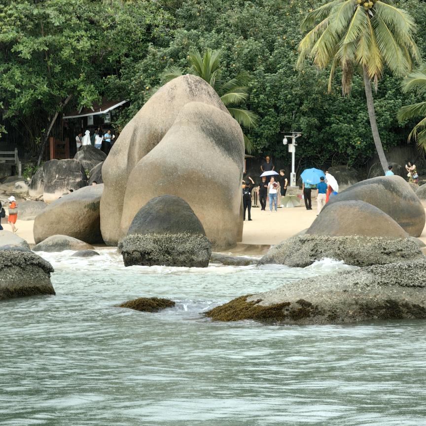 77777777退网了累了