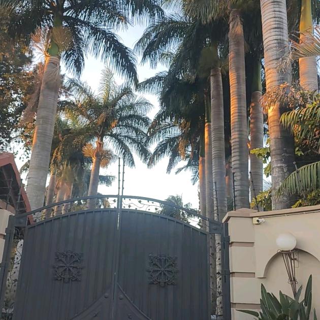 永远被捧在手心里