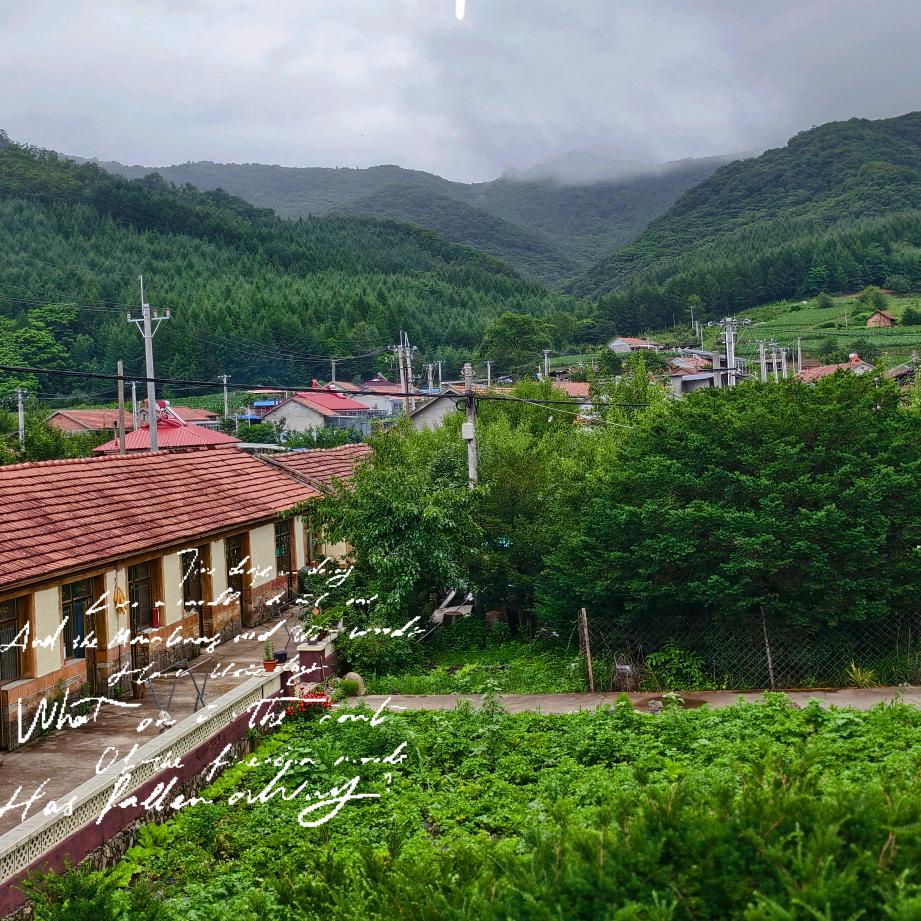 老边沟紫旭农庄