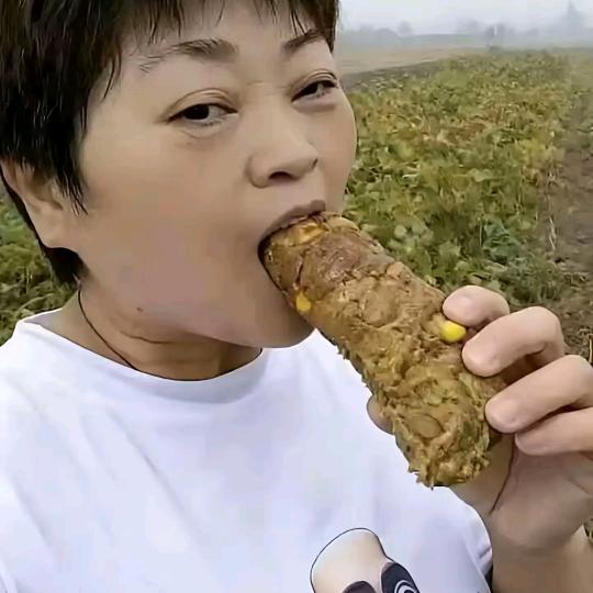 ── 展开520条回复 ⌵