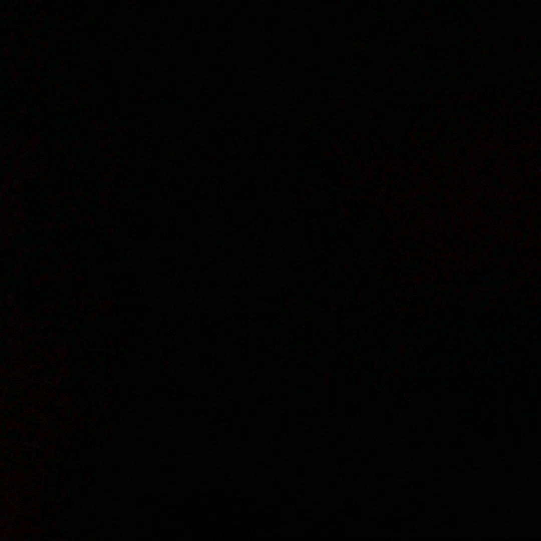 木木。。