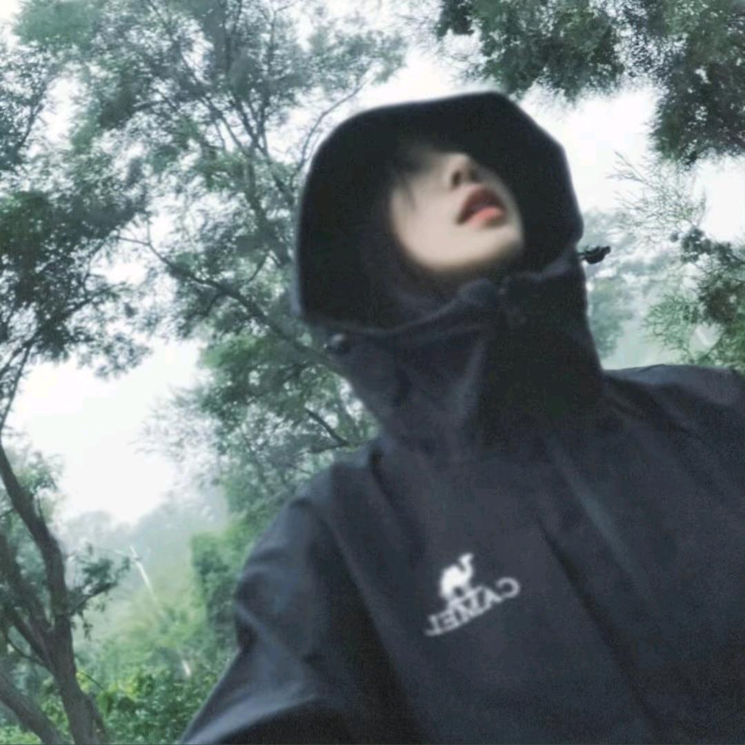 停云