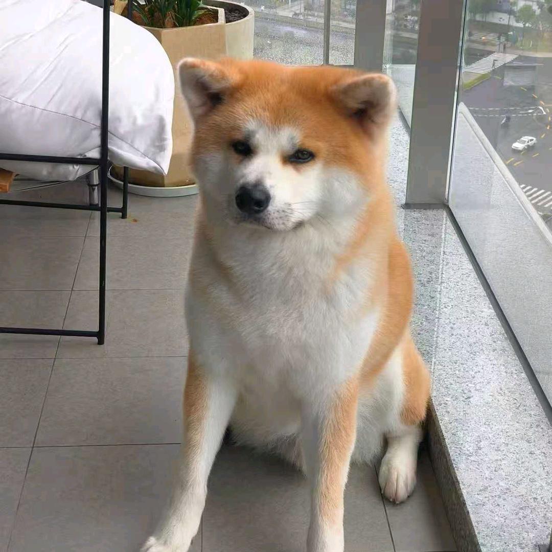 健康是福