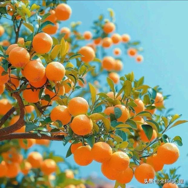 轻松驿站