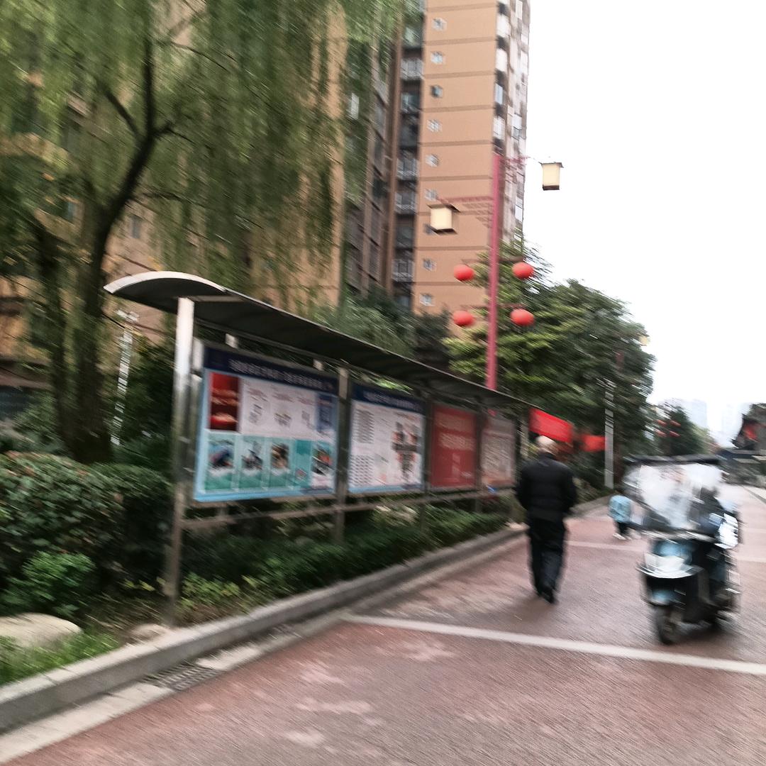 贵州张姐
