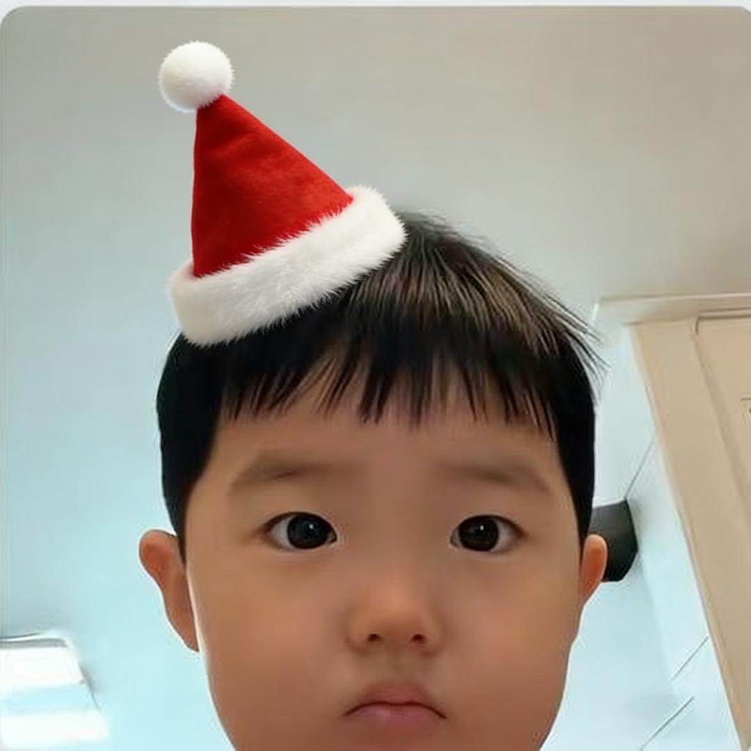 帥-