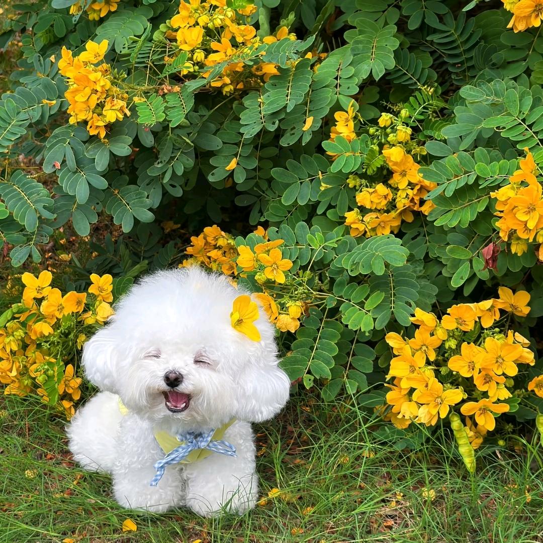 琪琪琪琪琪有此理