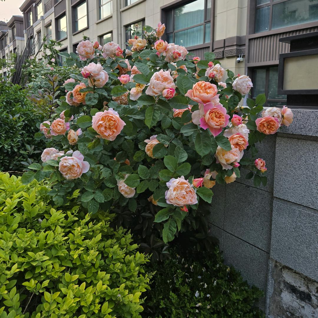 满庭芳💅🏻