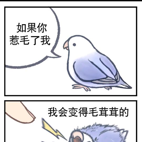 寻找人生通关指南ing