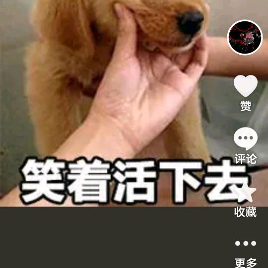 笑着活下去