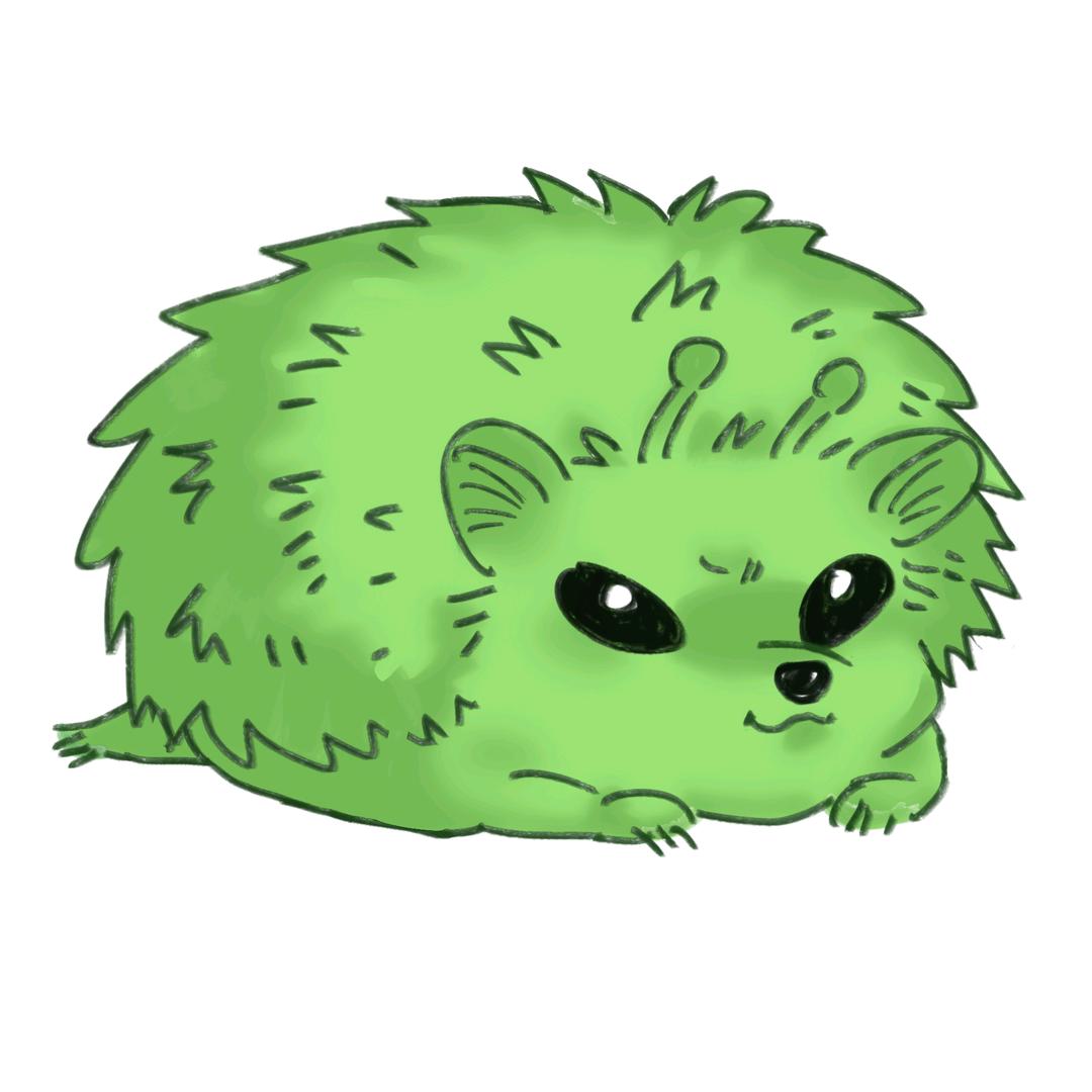 Zeddy泽迪 西伯利亚魁梧粉嫩刺猬🦔
