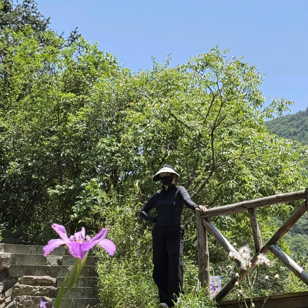 AAA猪饲料批发张姐