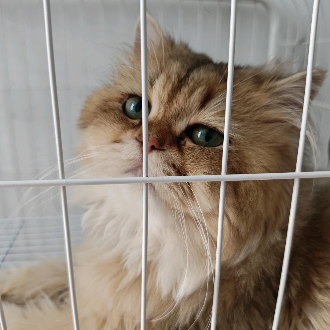 ૮₍ɵ̷﹏ɵ̷̥̥᷅₎ა黑达旗