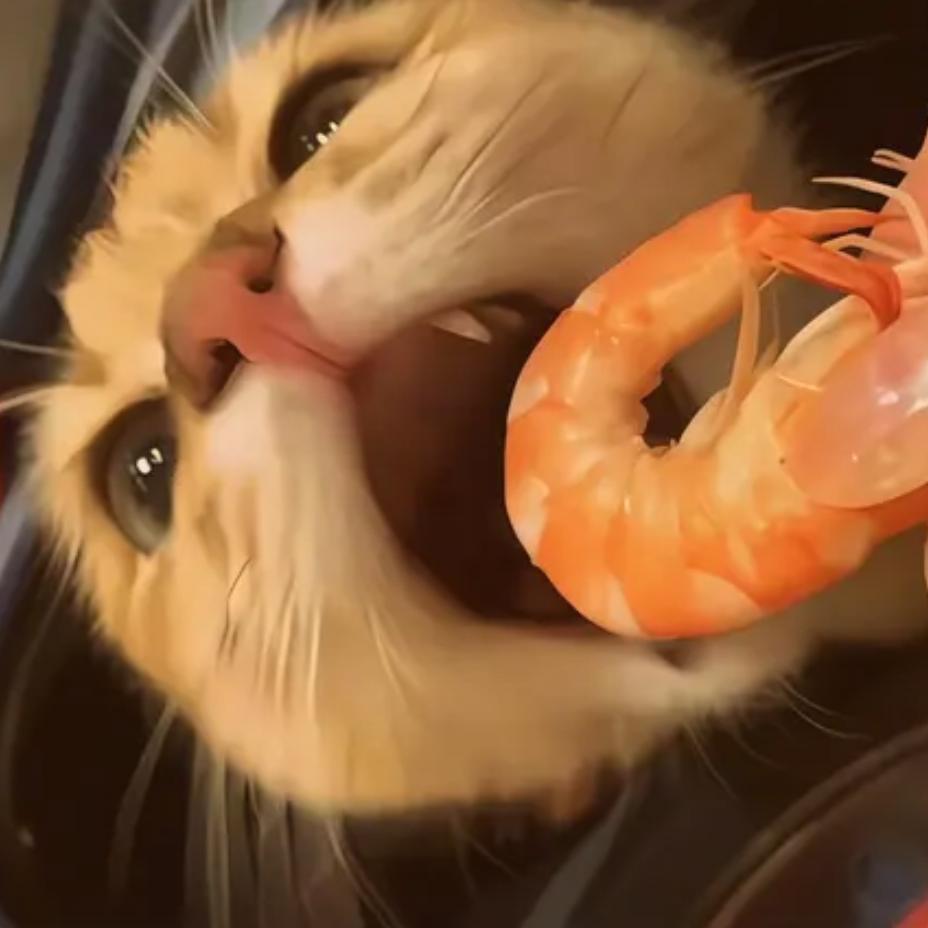 zzzzzhhhhh🇵🇸🕊