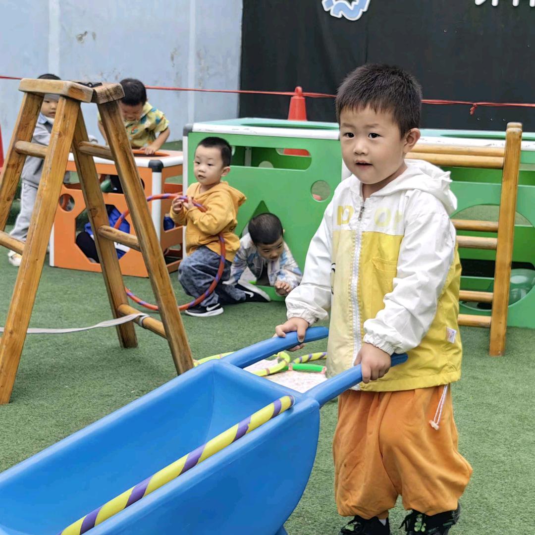 养兰人