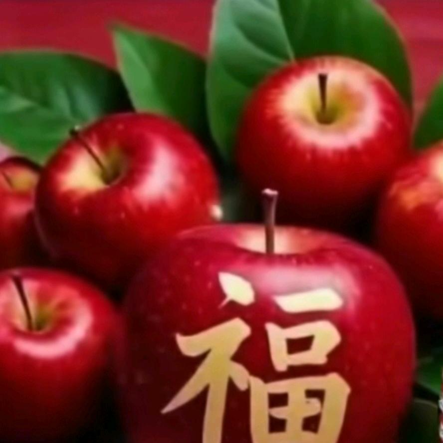 💕宋小玲💕