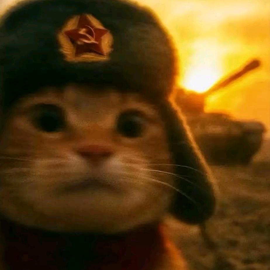 雲之海