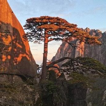 东方 · 孙同志