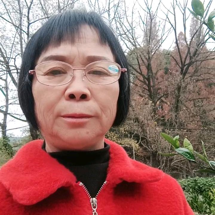 农村香姐