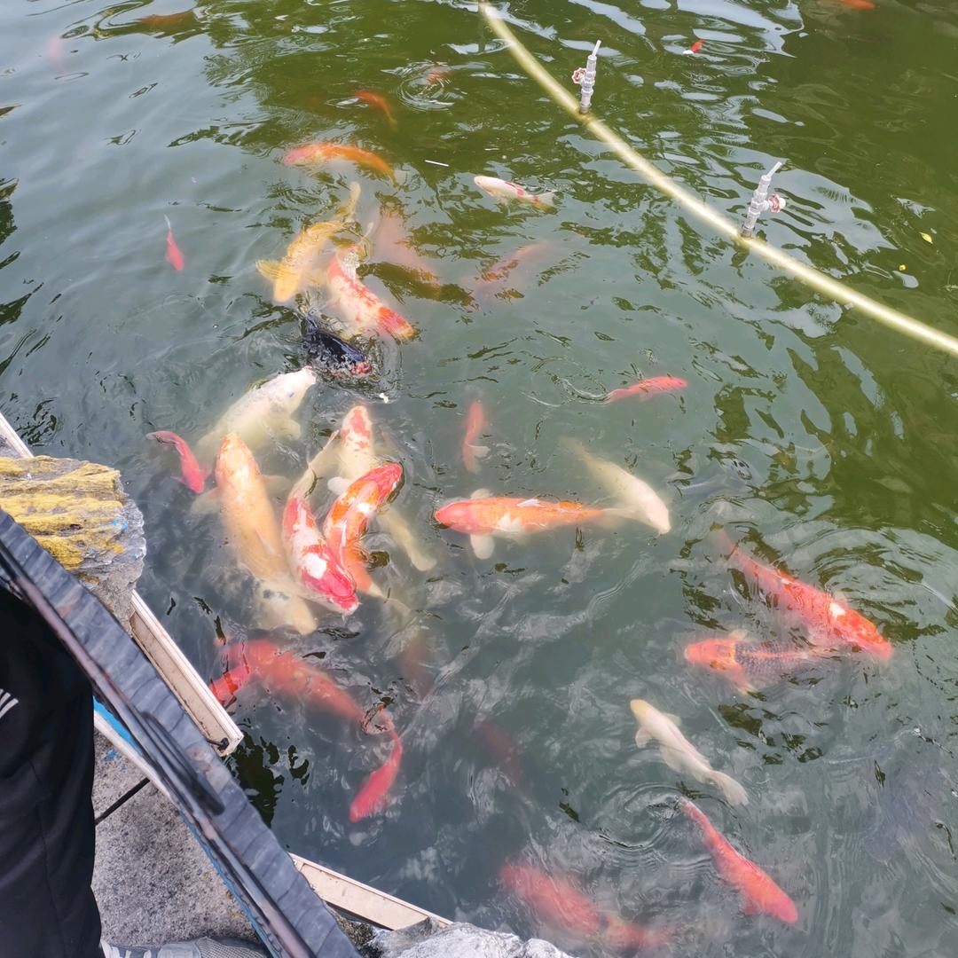 惜缘