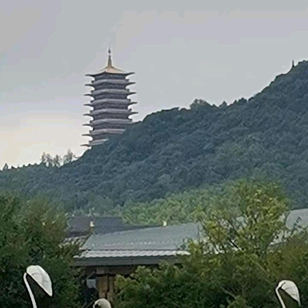 开封旺哥