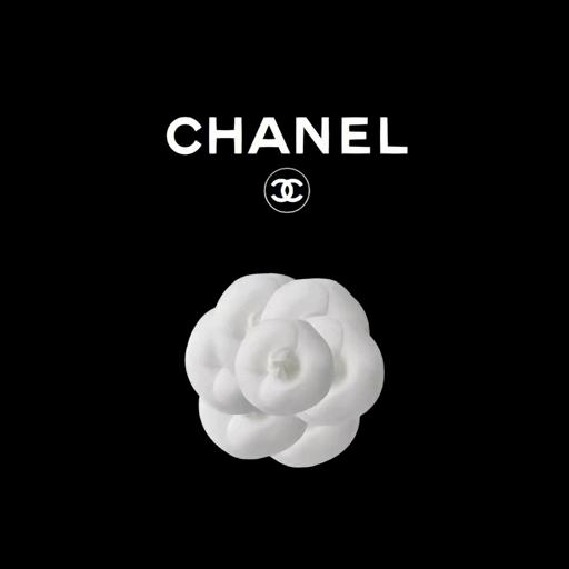 迪圖高端首饰（工厂批发）