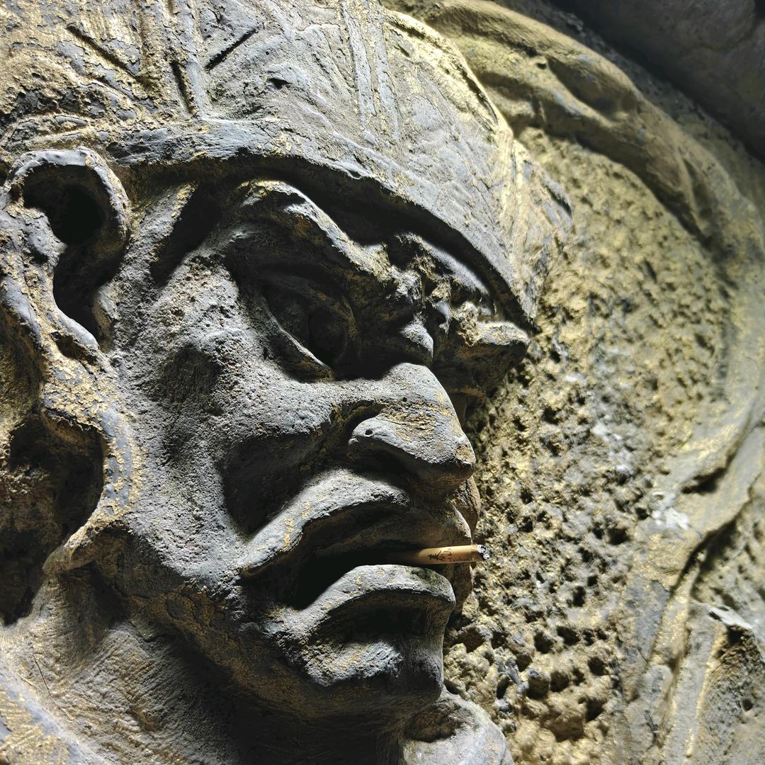 你尔多隆盐井虾吗