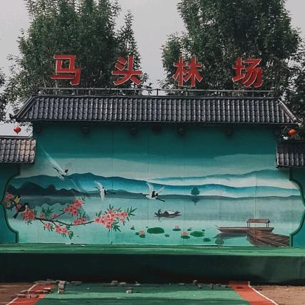 张迪