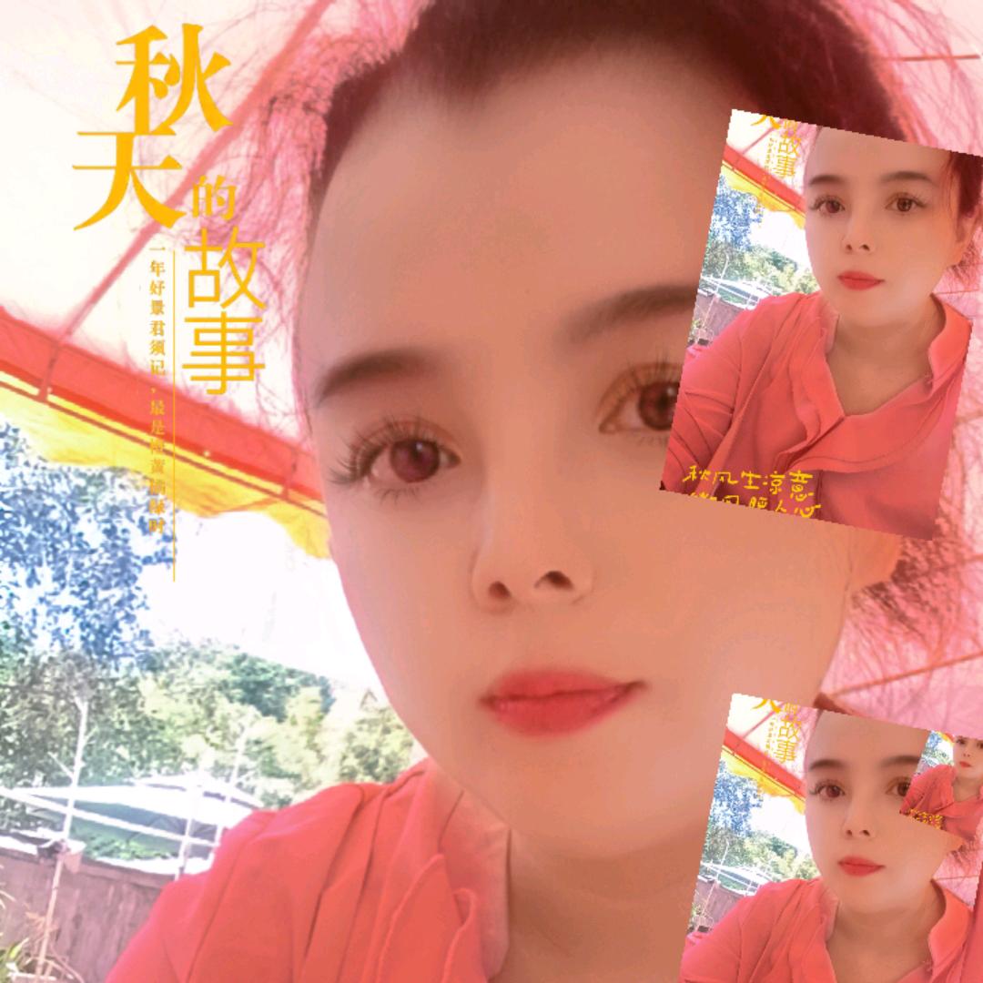 我何去何从贵香