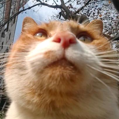 健身五年只为一巴掌将m扇退圈