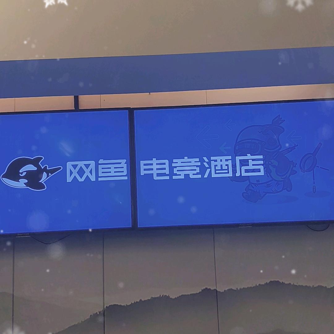 网鱼电竞酒店苜蓿园大街店