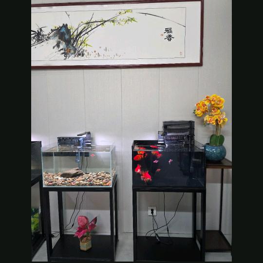 临沂市技研精工宠物用品有限公司超白部