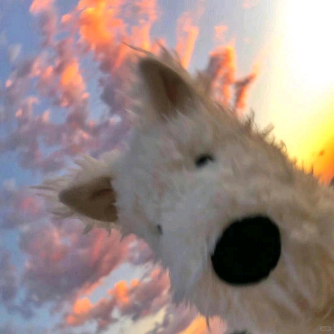 上天眷顾而已
