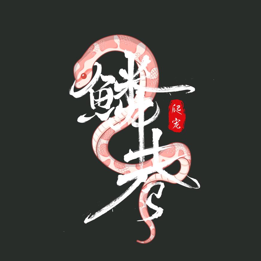 鳞巷爬宠直播号