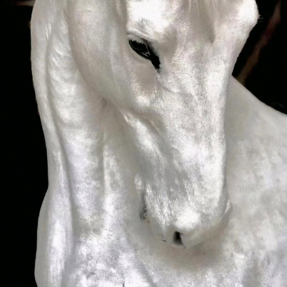 王权富贵