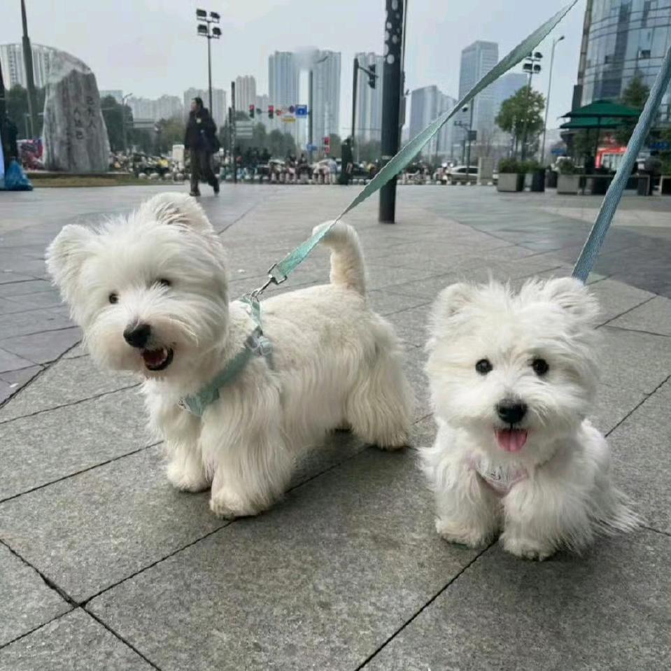 又該吃葯了