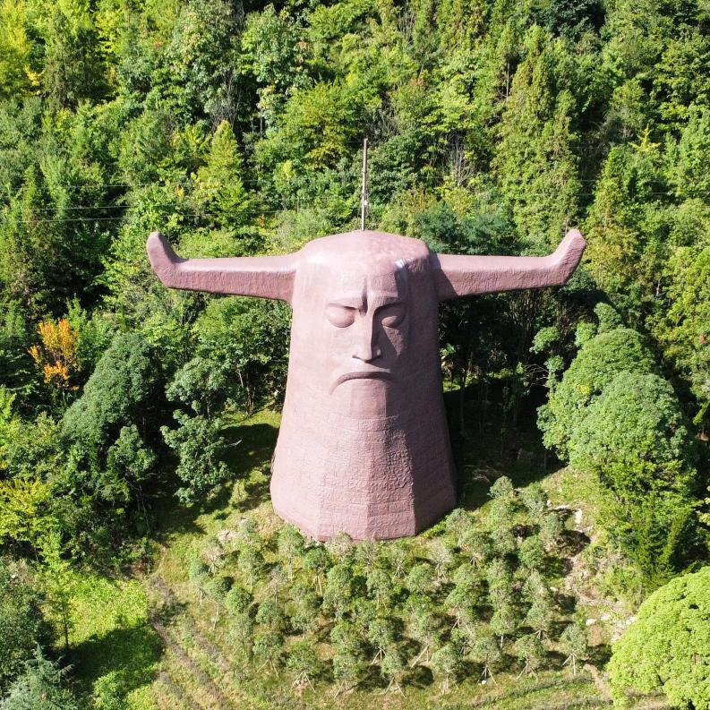 陕西极飞丰翔飞防