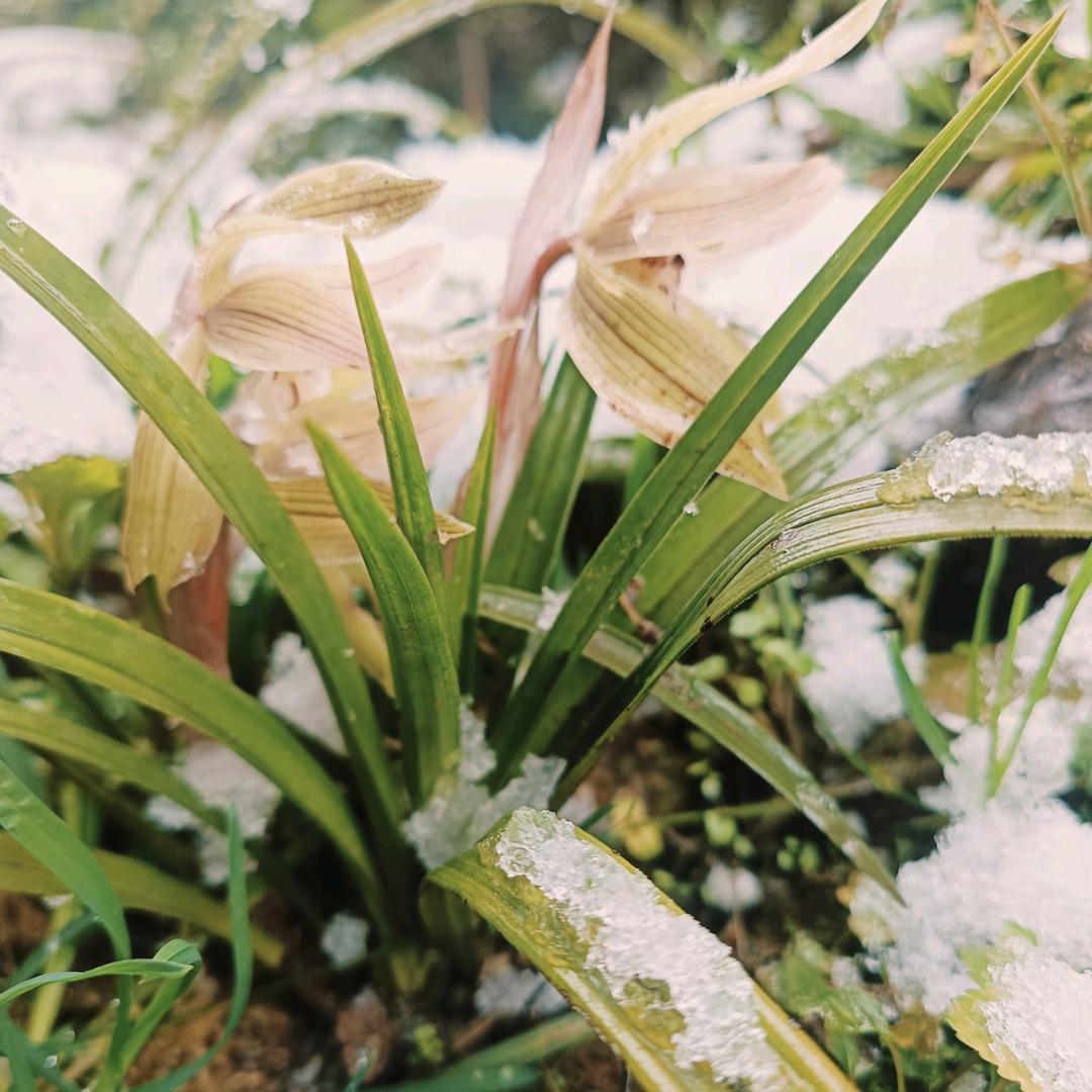 🌴曾经沧海🍁