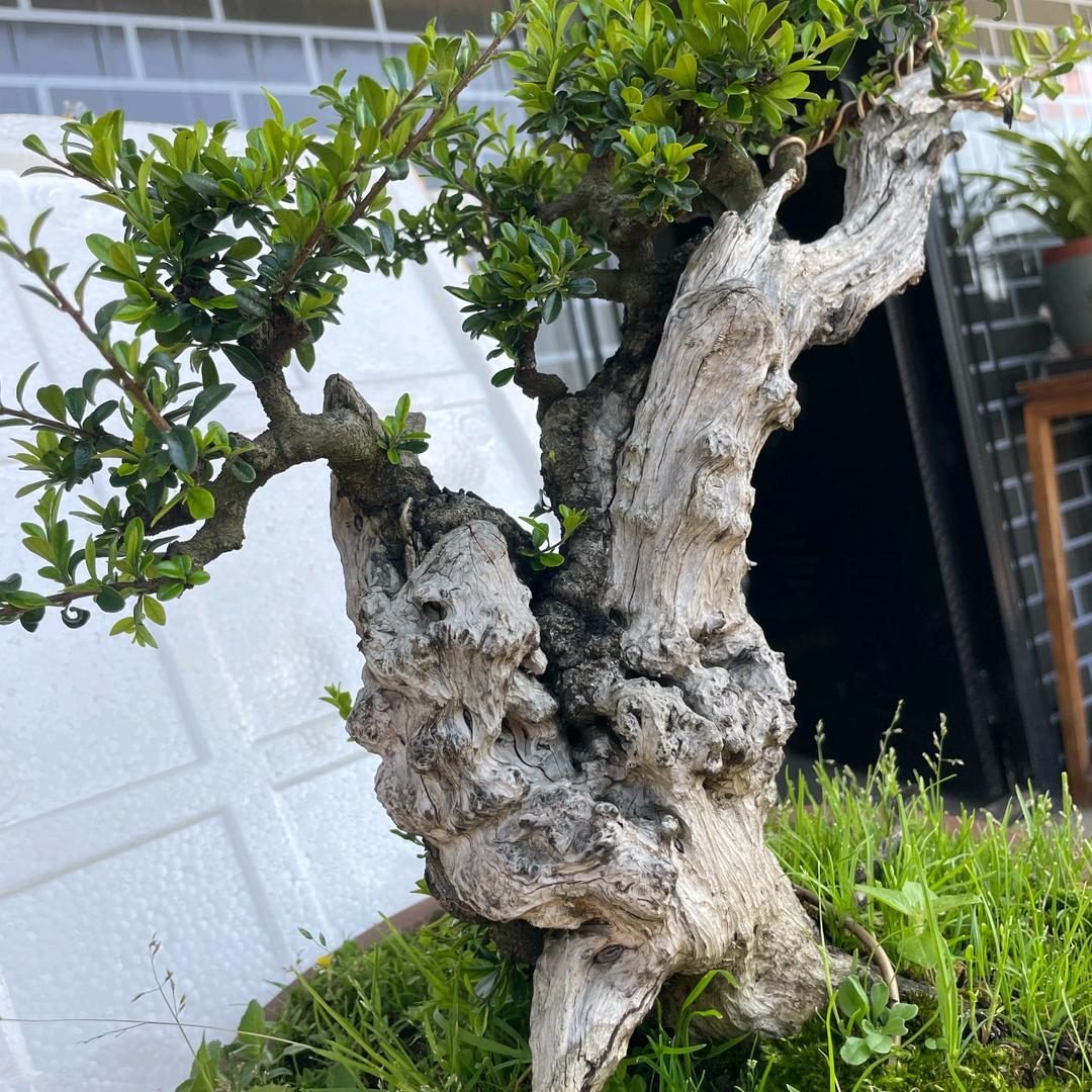 农哥甄选小铺