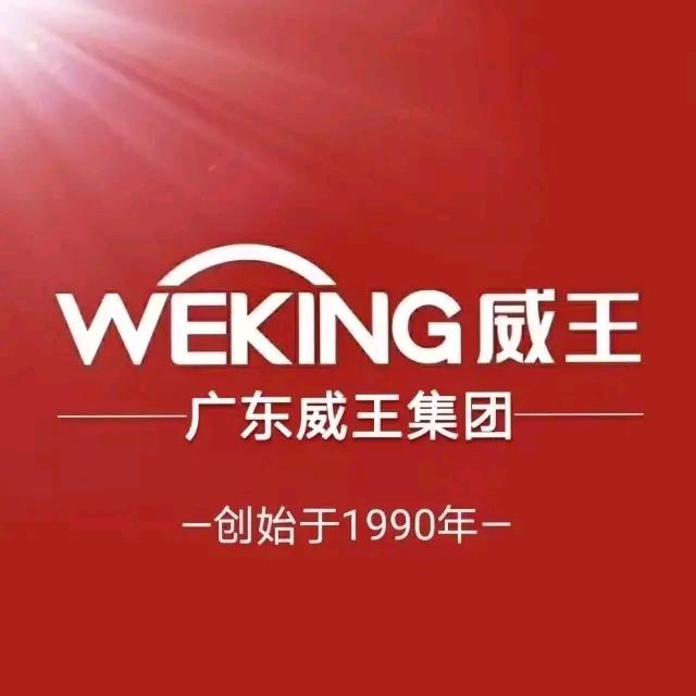 WEKING威王工厂店