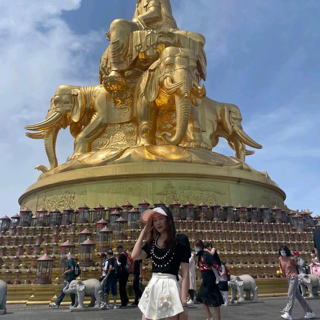 专业从事绿通运输