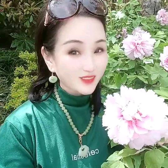 阿拉蕾